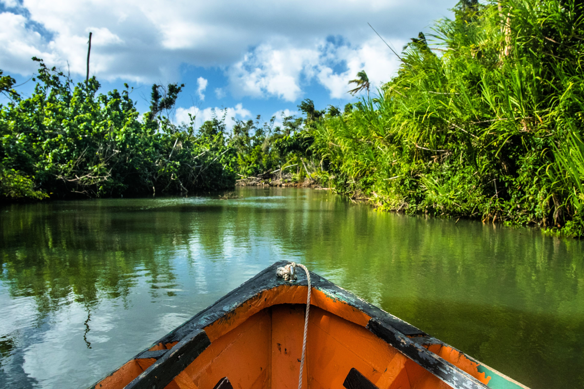 	Cruise Along the Indian River