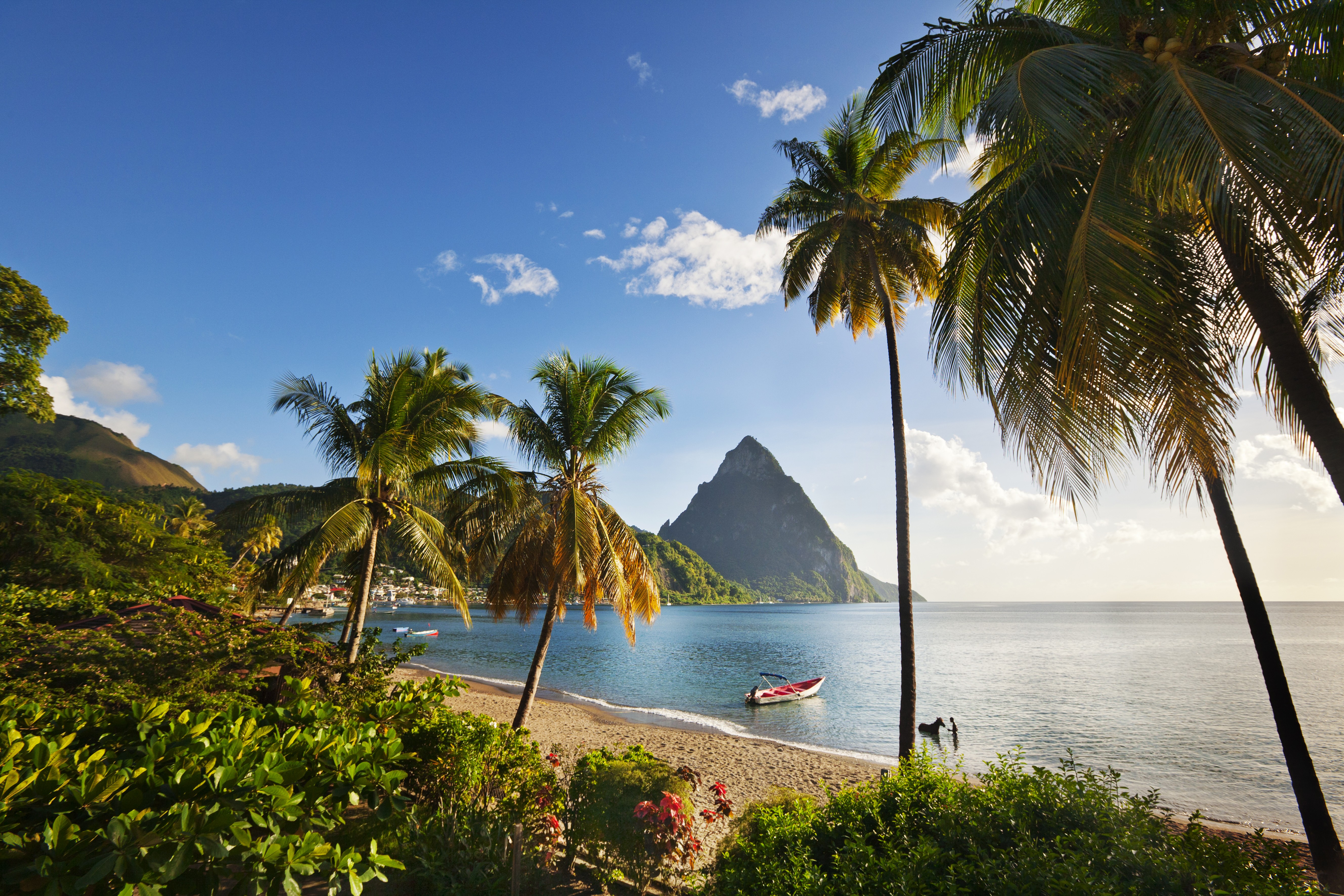 Vacation Package to St. Lucia