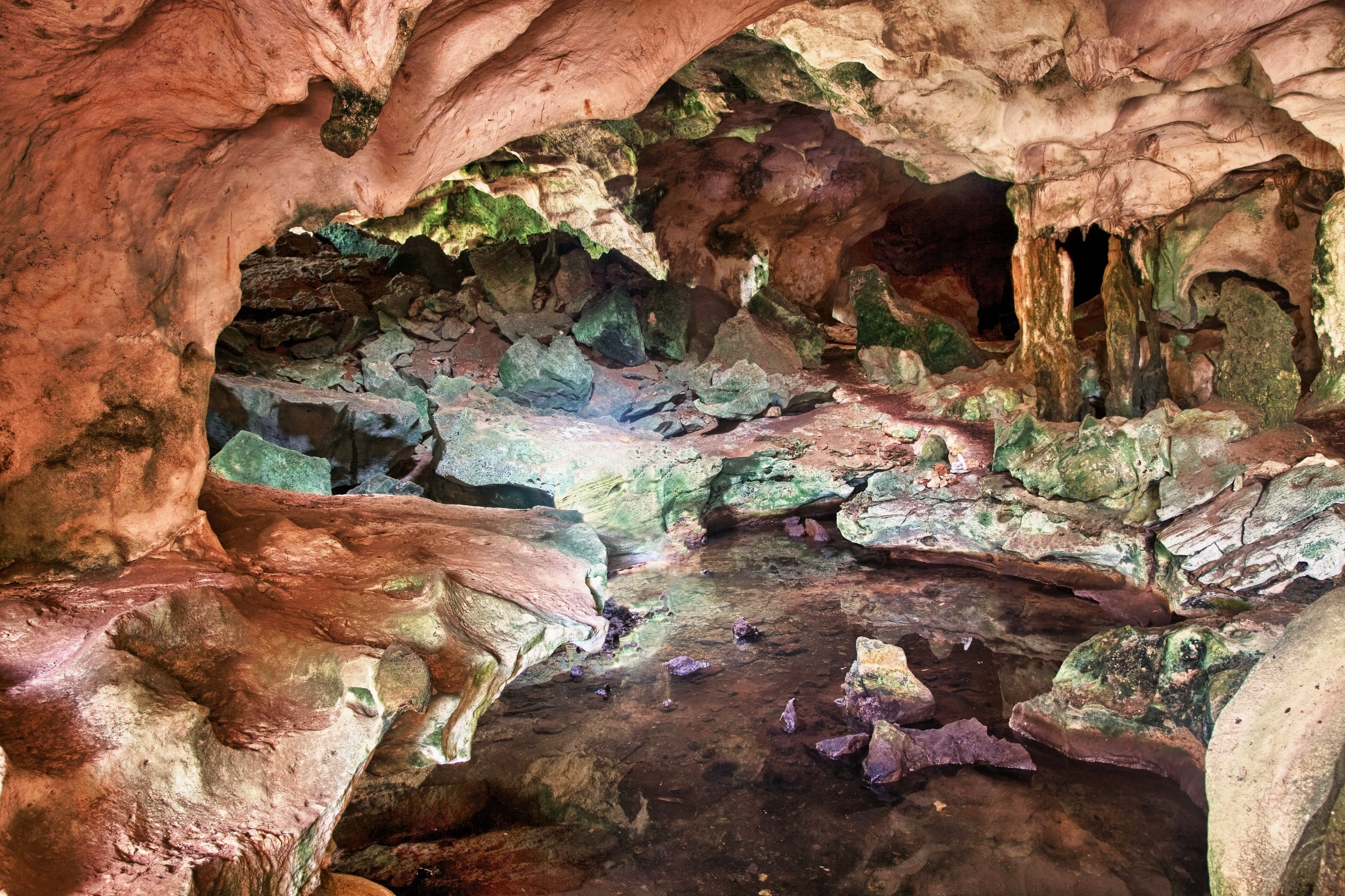 Conch Bar Caves National Park