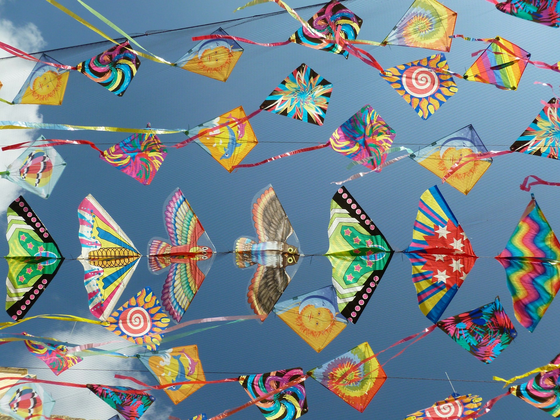 Antigua and Barbuda International Kite Festival
