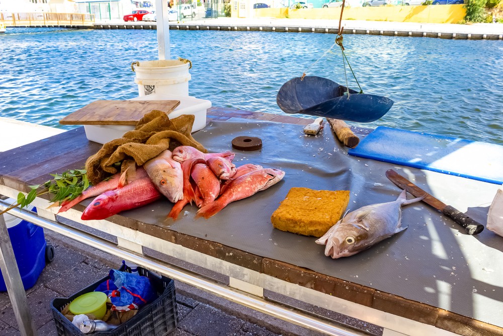 	Seafood – An island Must Try