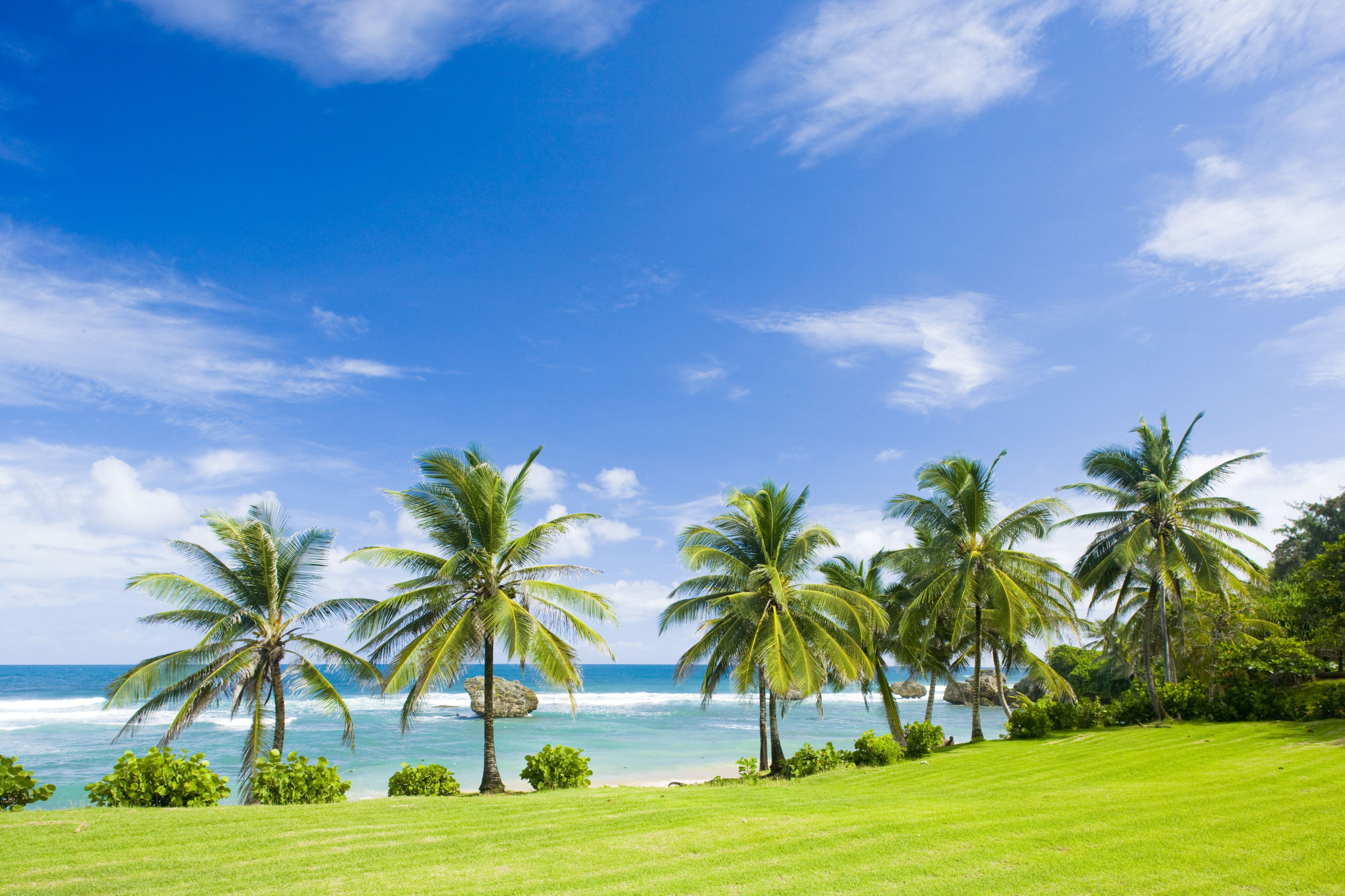 Windsurf or Kitesurf at Bathsheba Beach