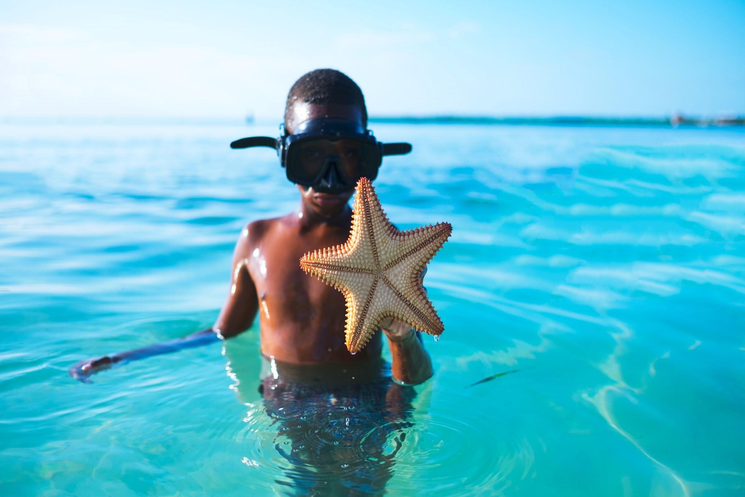 Opt for a Snorkelling and/or Diving Endeavour