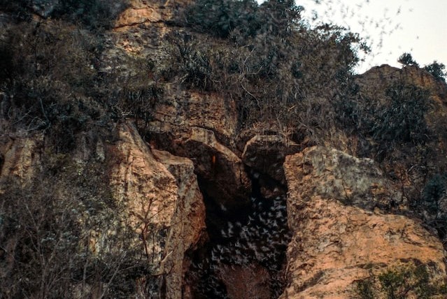 	The Bat Cave 