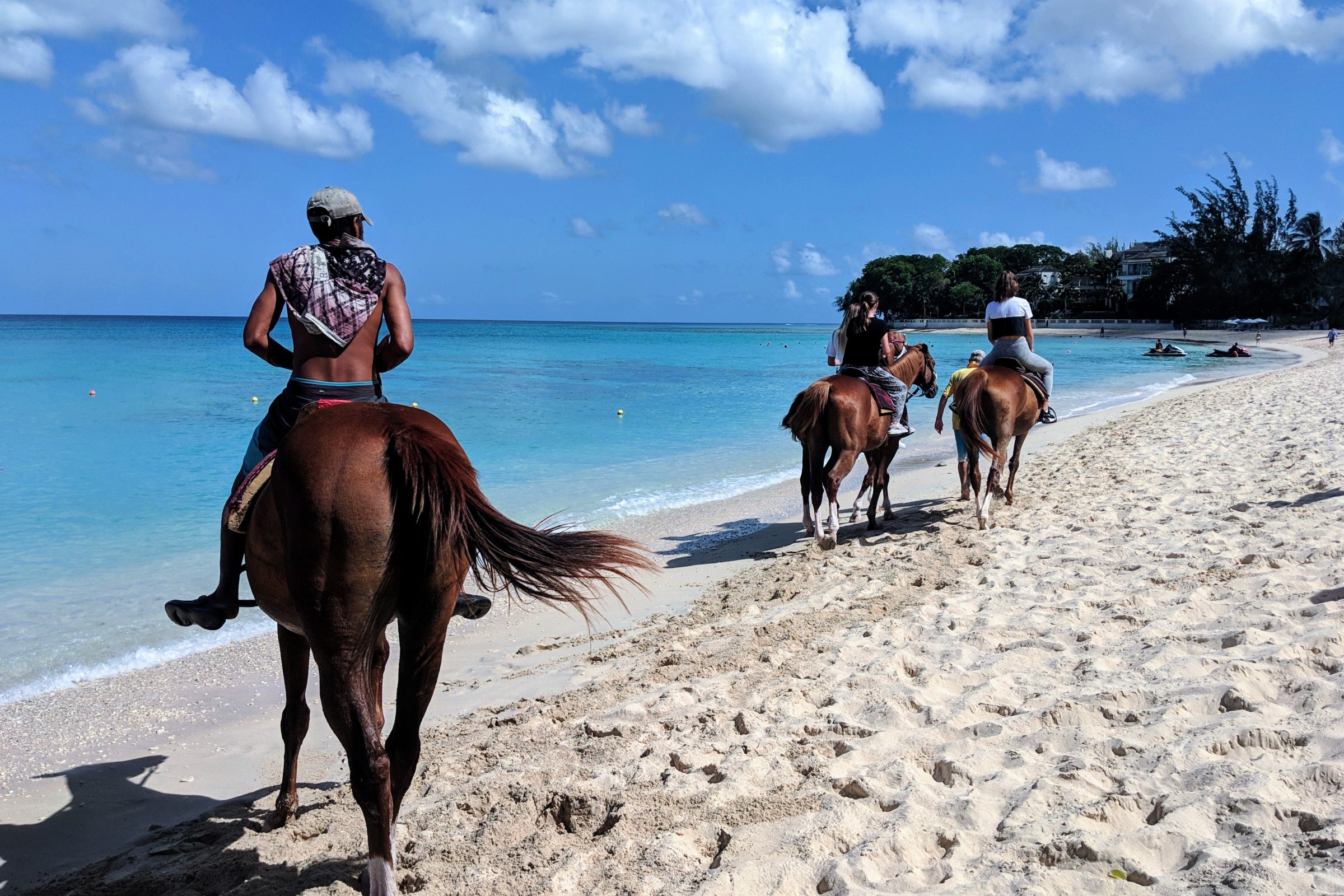 Gallop Along the Atlantic Shores