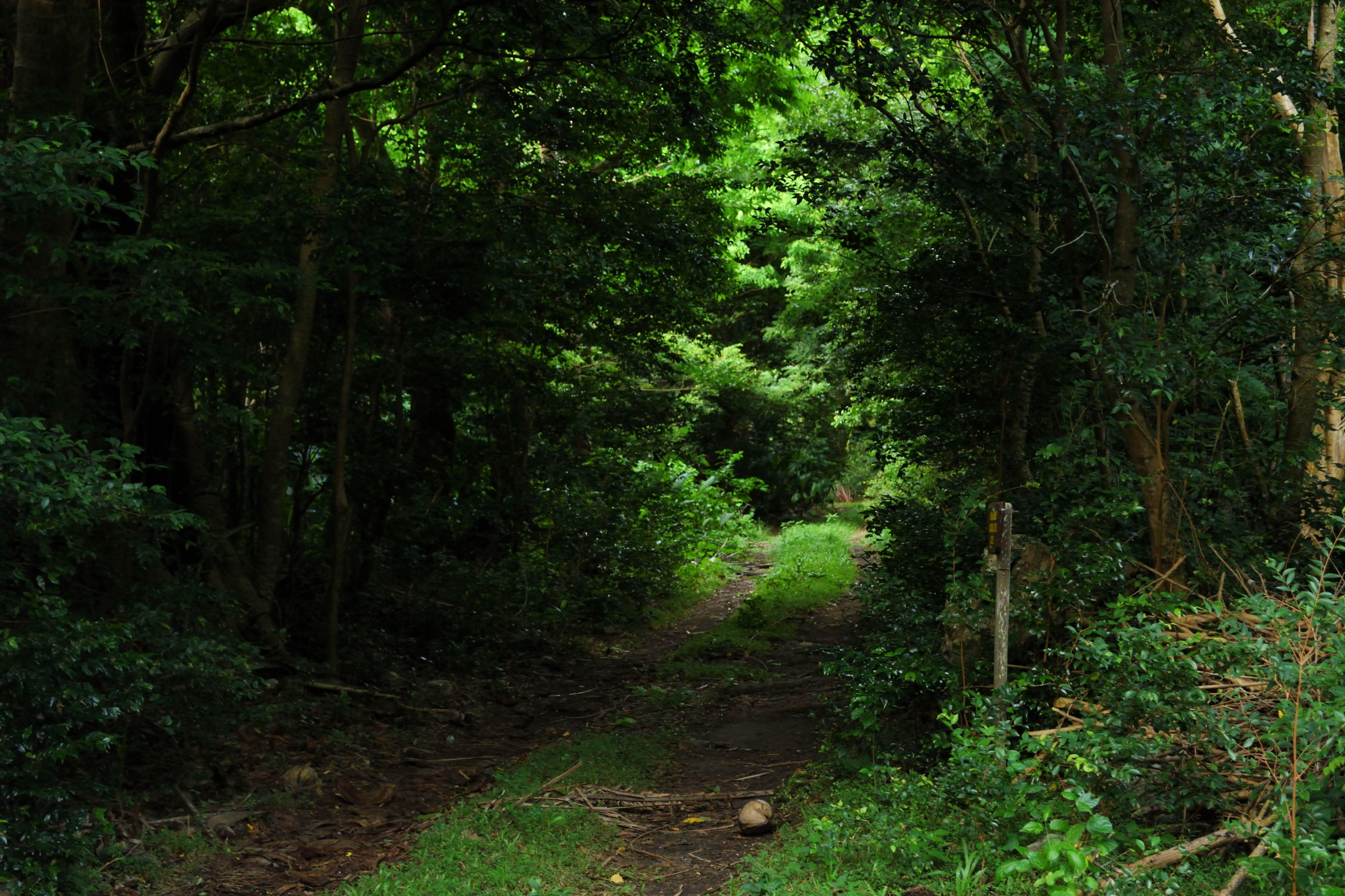 	Hike the Waitukubuli National Trail