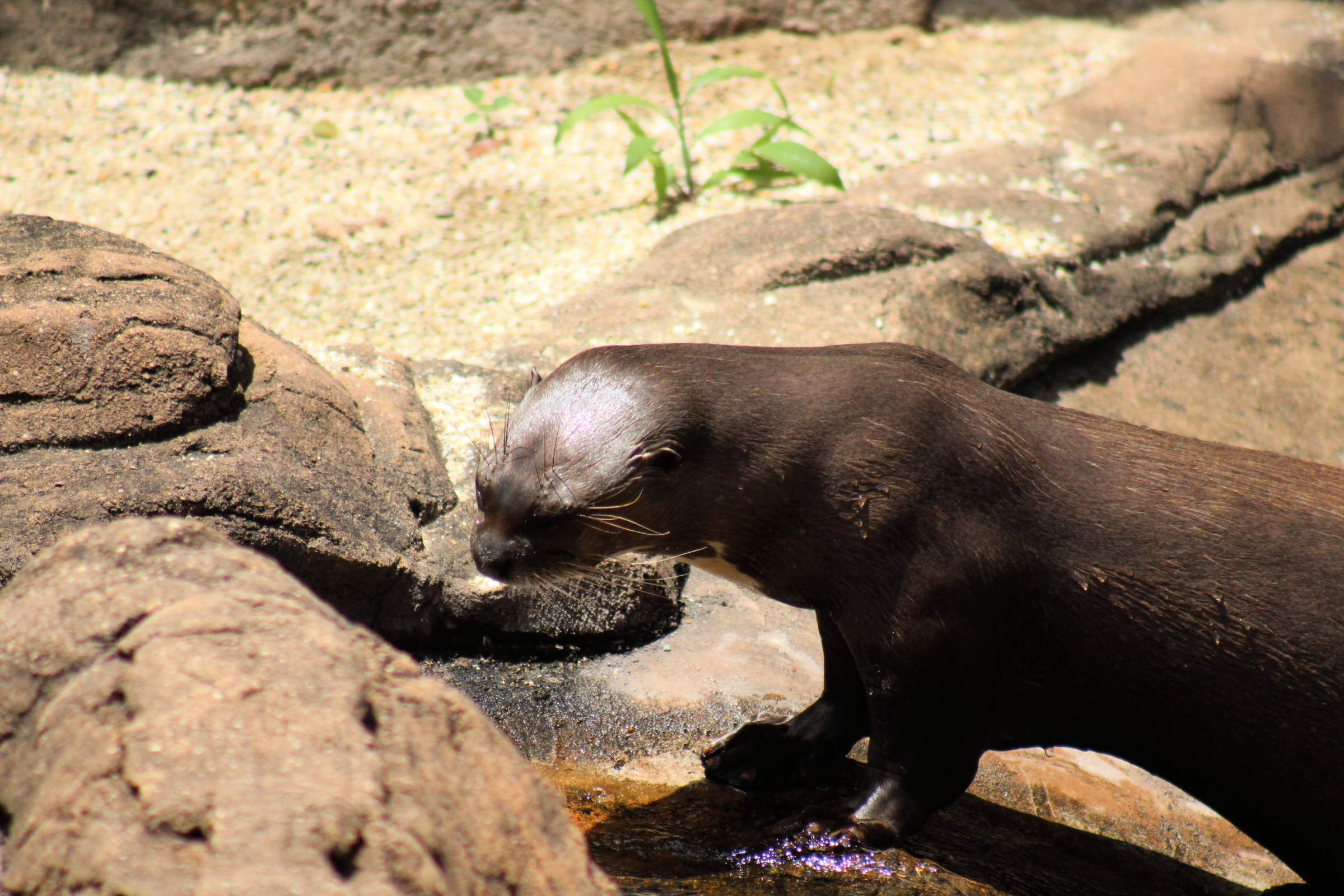 Emperor Valley Zoo