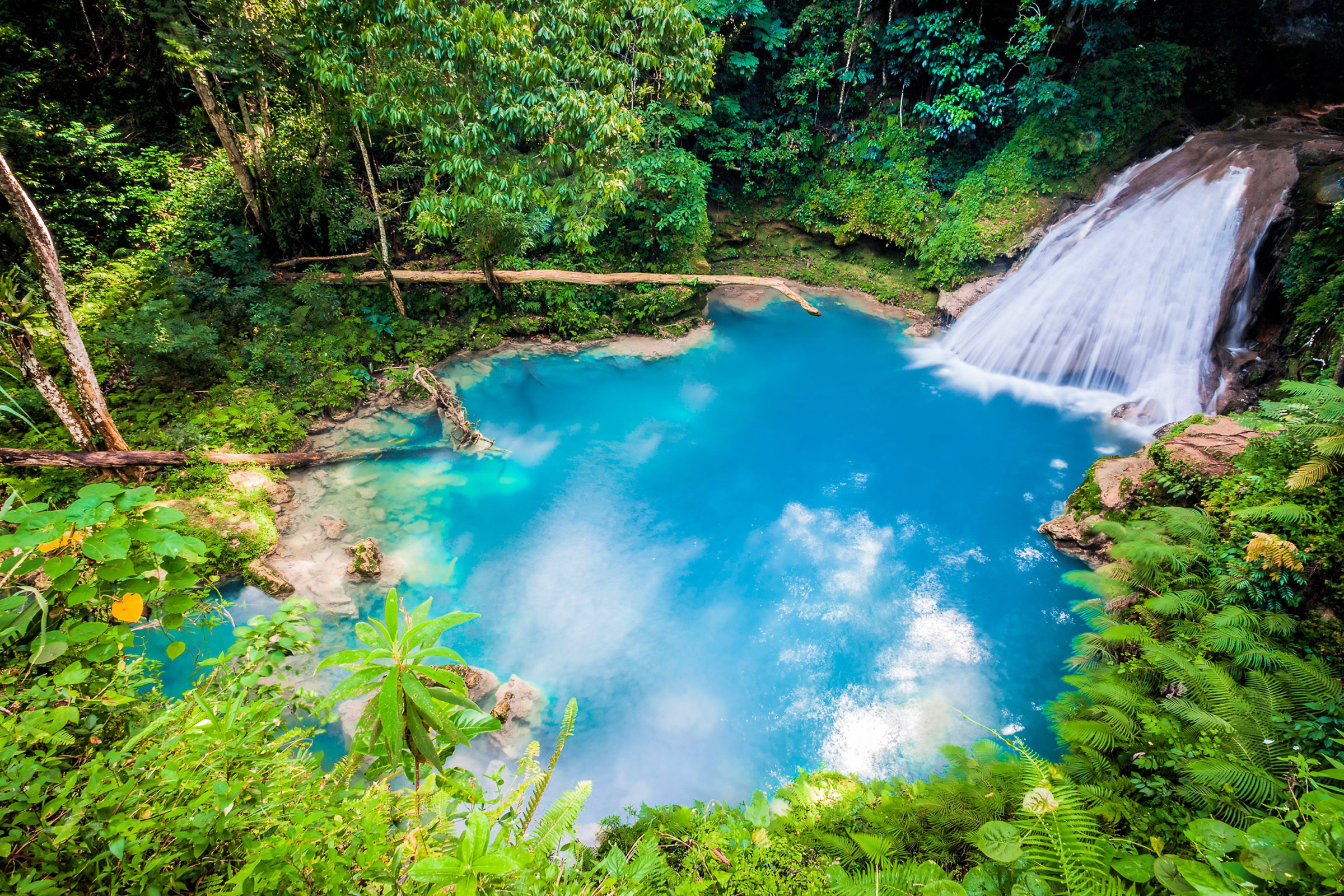 Fall Into Jamaica. Why Not?