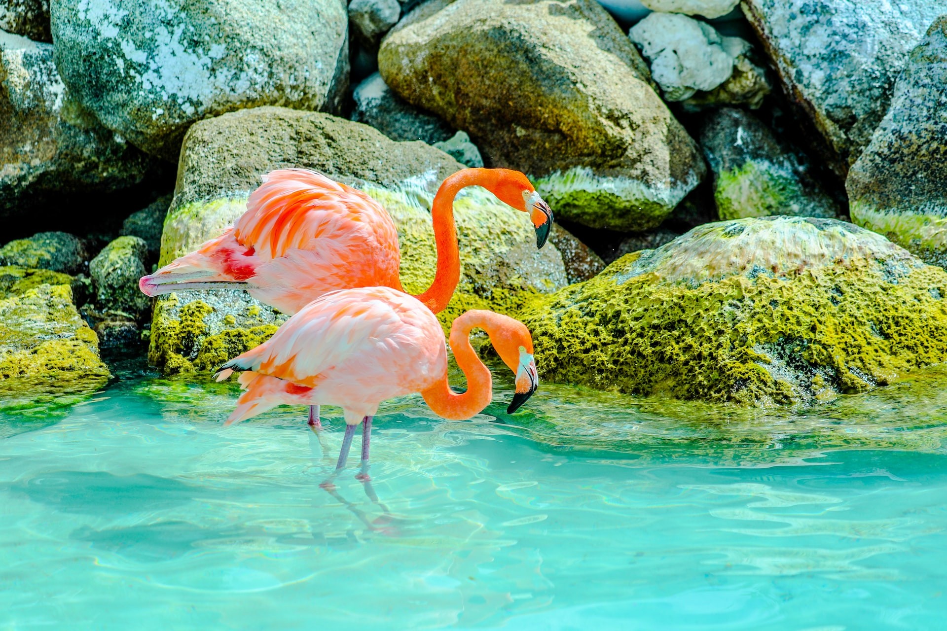Other Fantastic Aruba places to visit