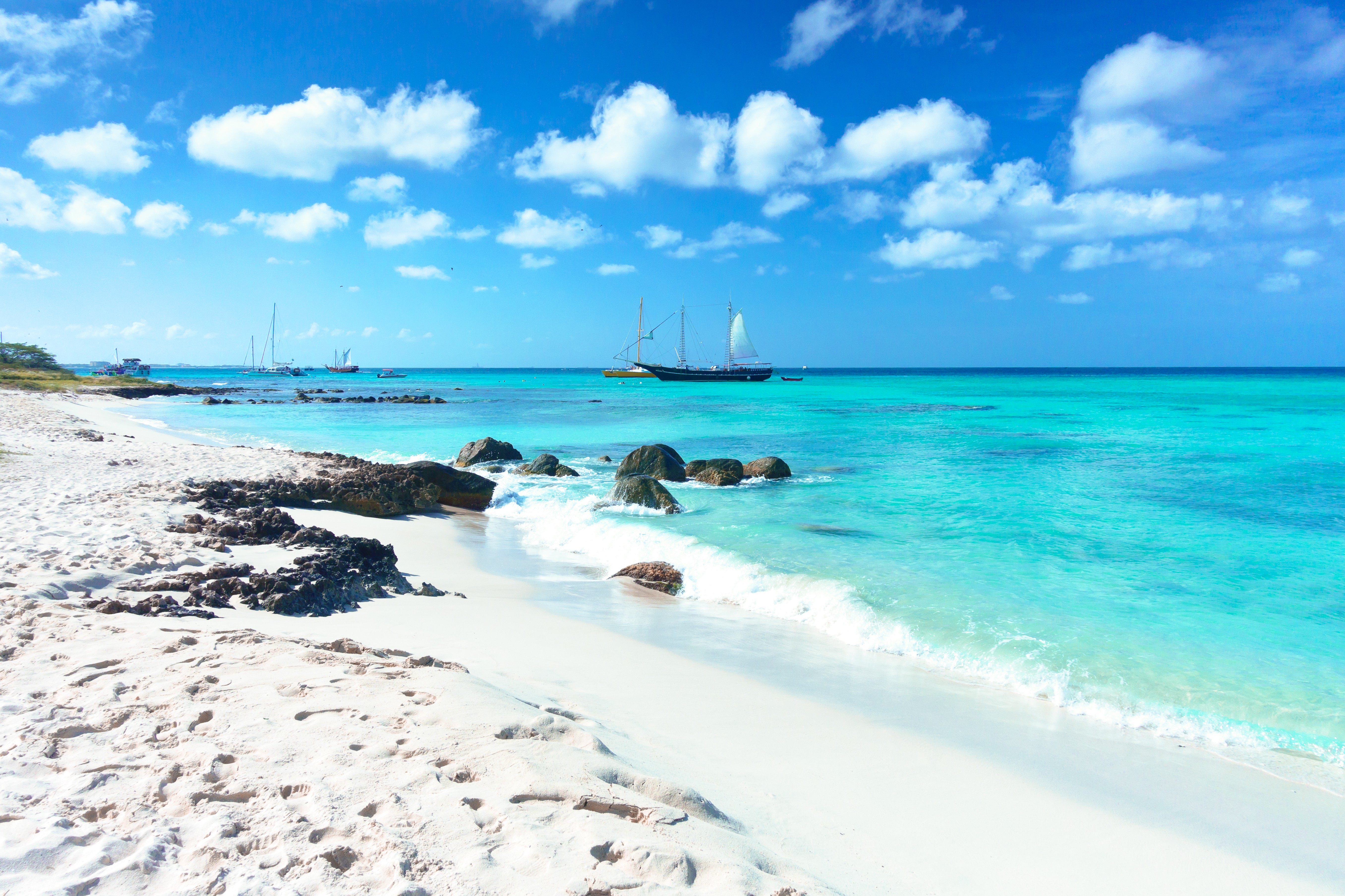 The Incredible Shoreline