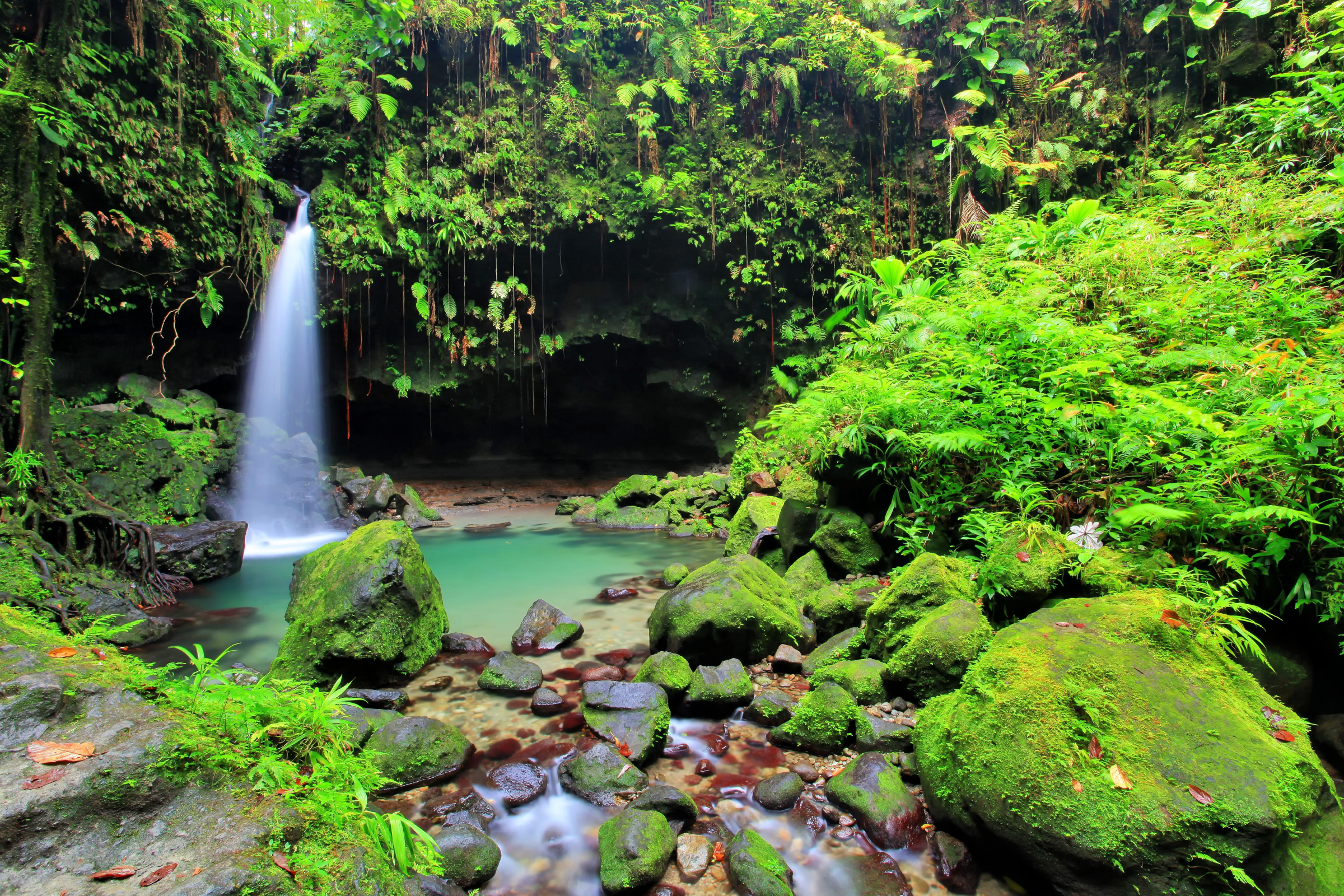 	Emerald Pool