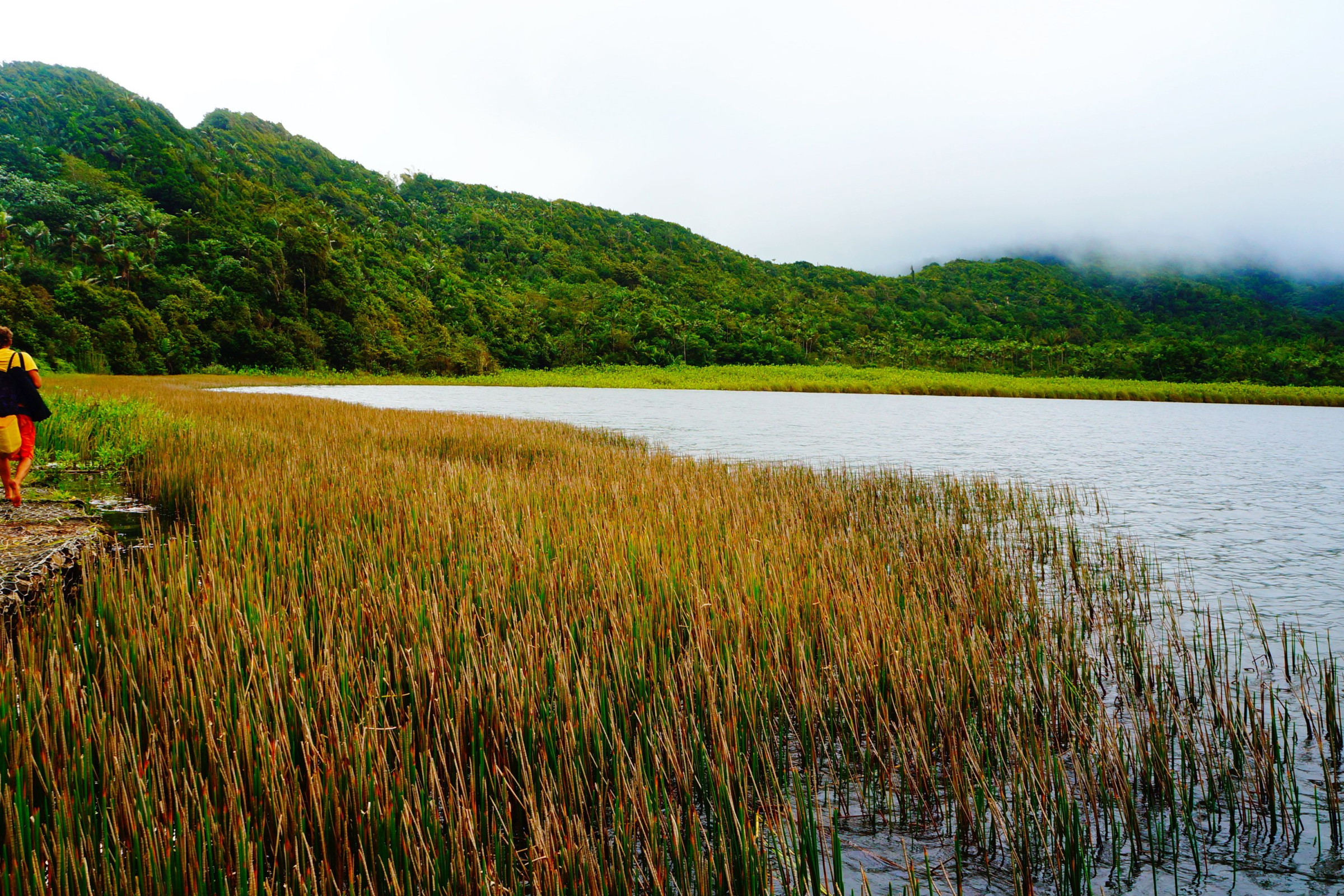 The Grand Etang Lake National Park