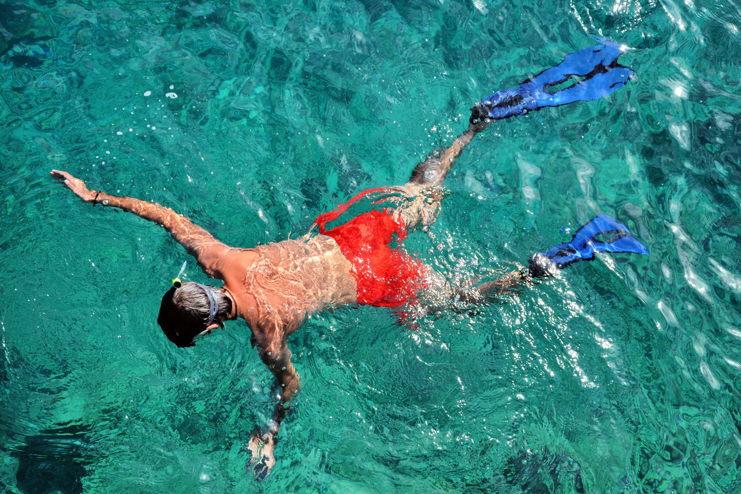Snorkel in the Carlisle Bay Marine Reserve
