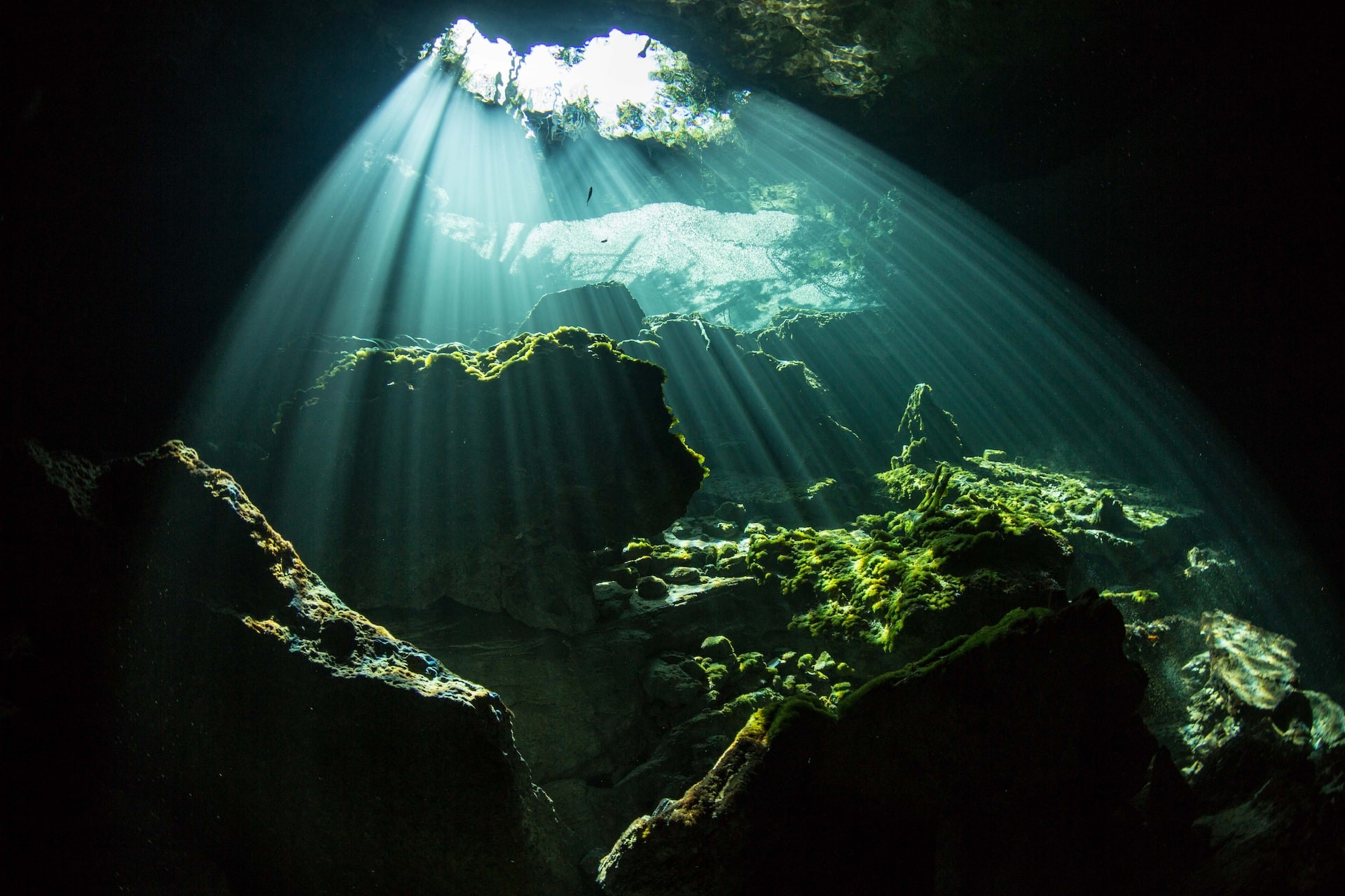 The Lucayan National Park at Grand Bahama Island 
