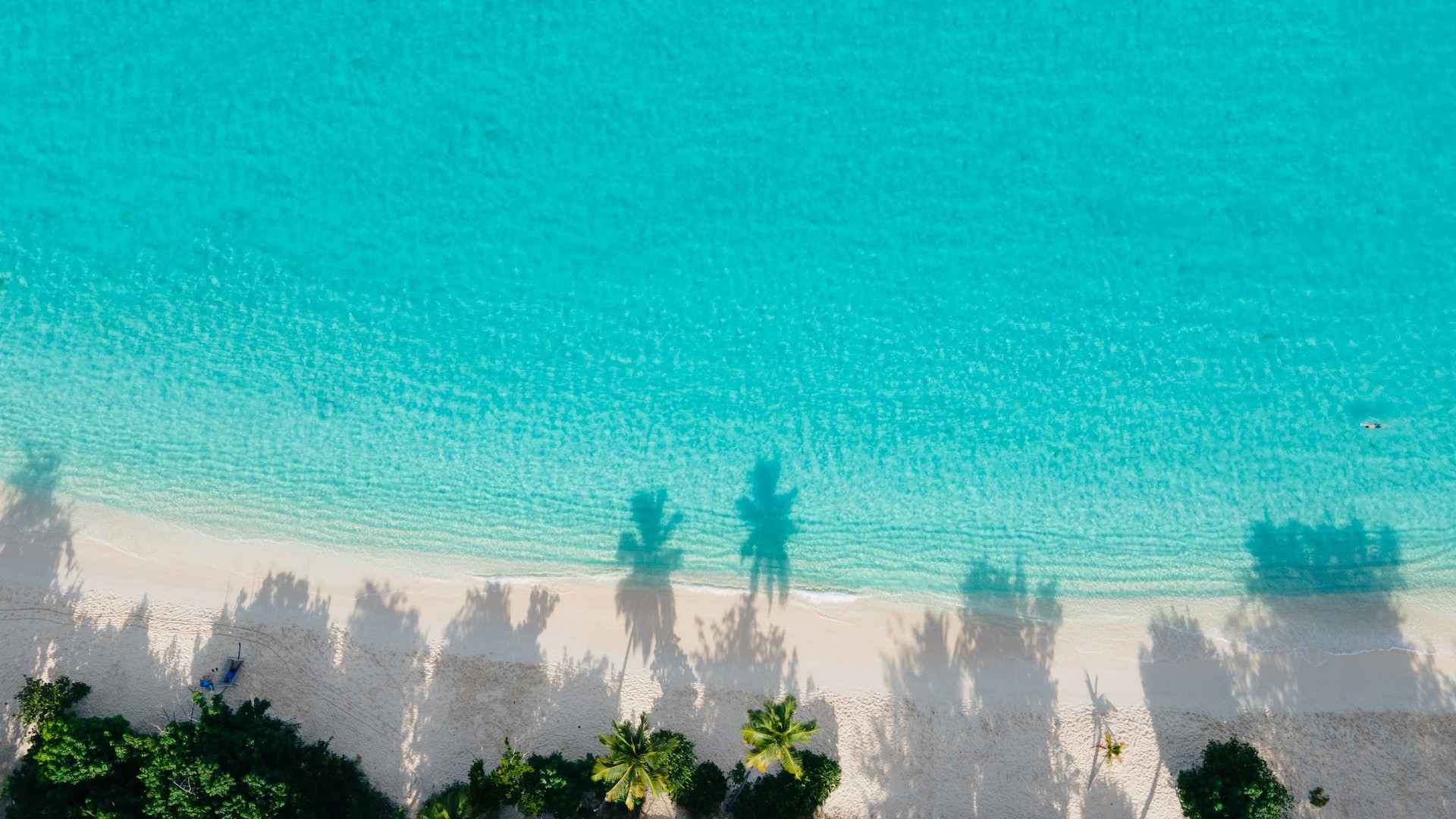 Explore the Sugary Coastline and Find Your Personal Haven
