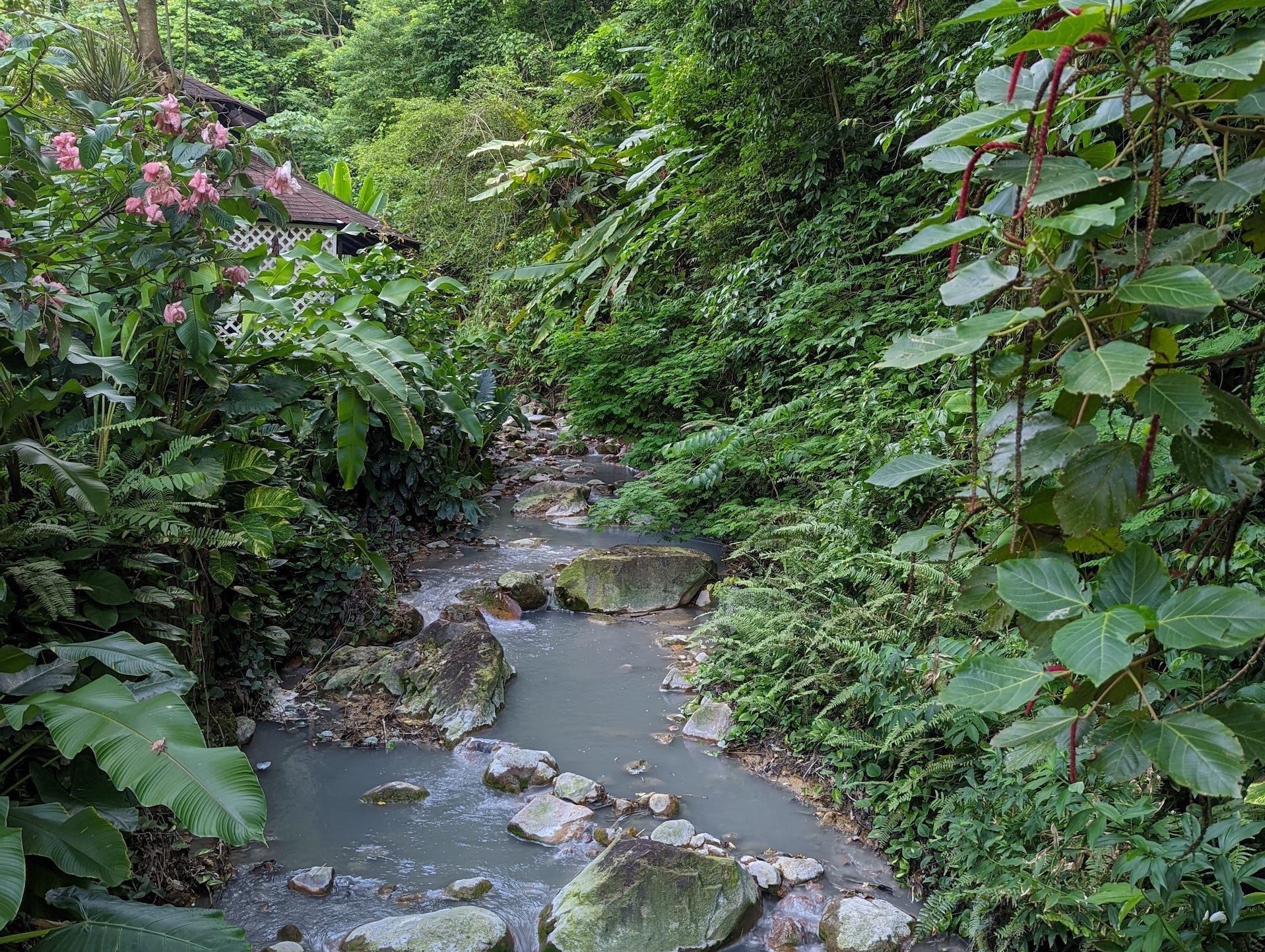 The Botanical Gardens 