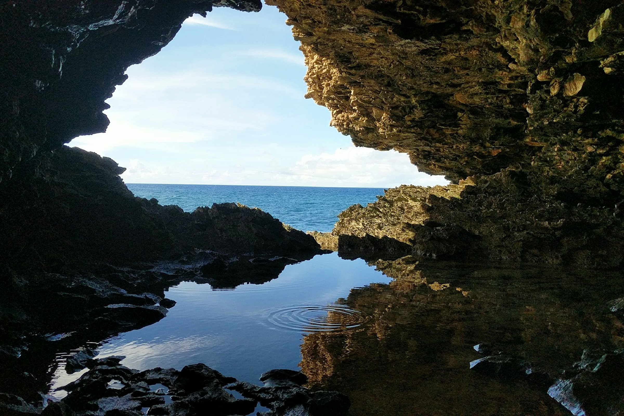 Explore Animal Flower Cave at St. Lucy’s Craggy Cliffs