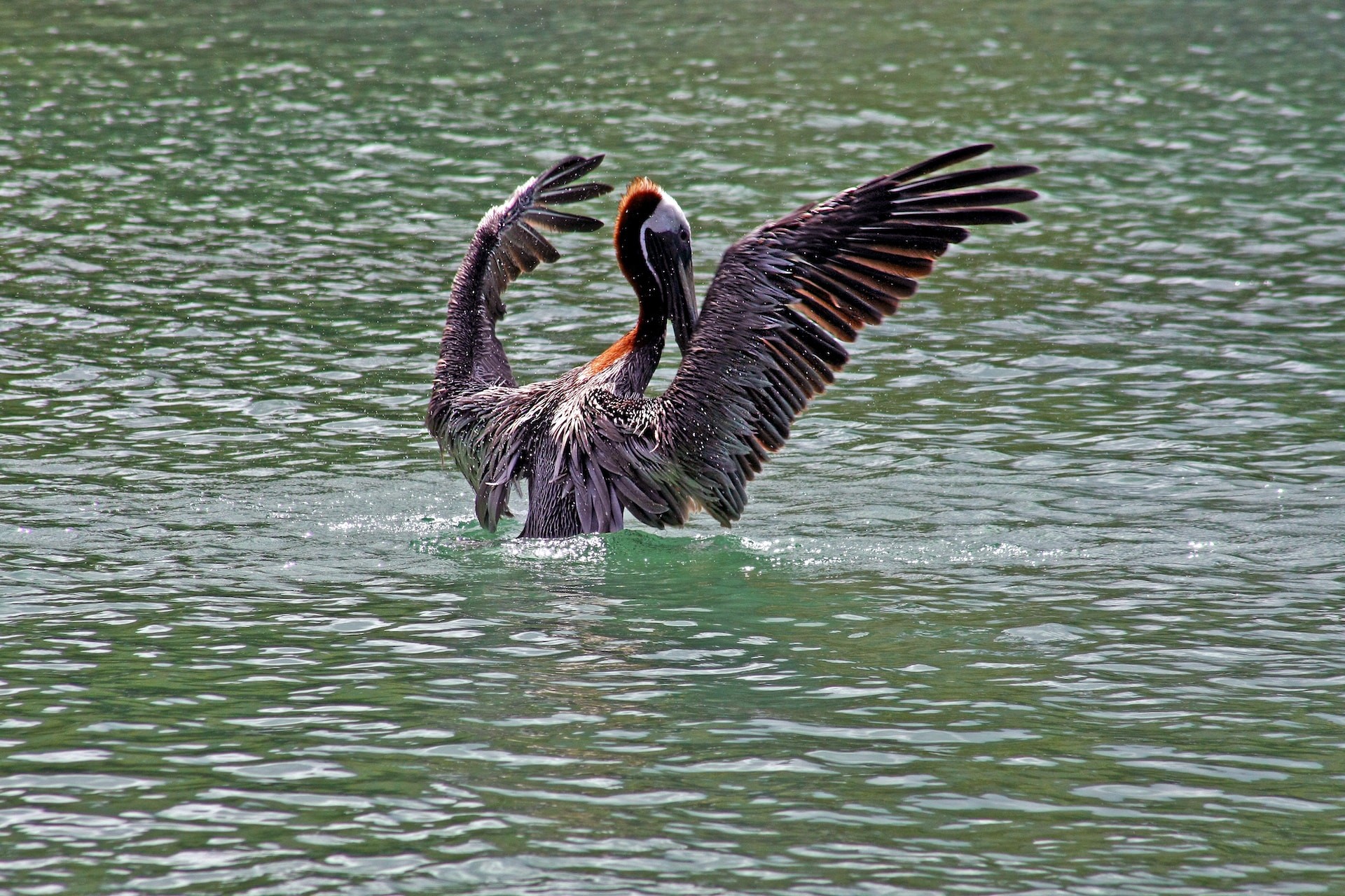 Fallen Jerusalem National Park – A Bird-Watcher's Heaven 