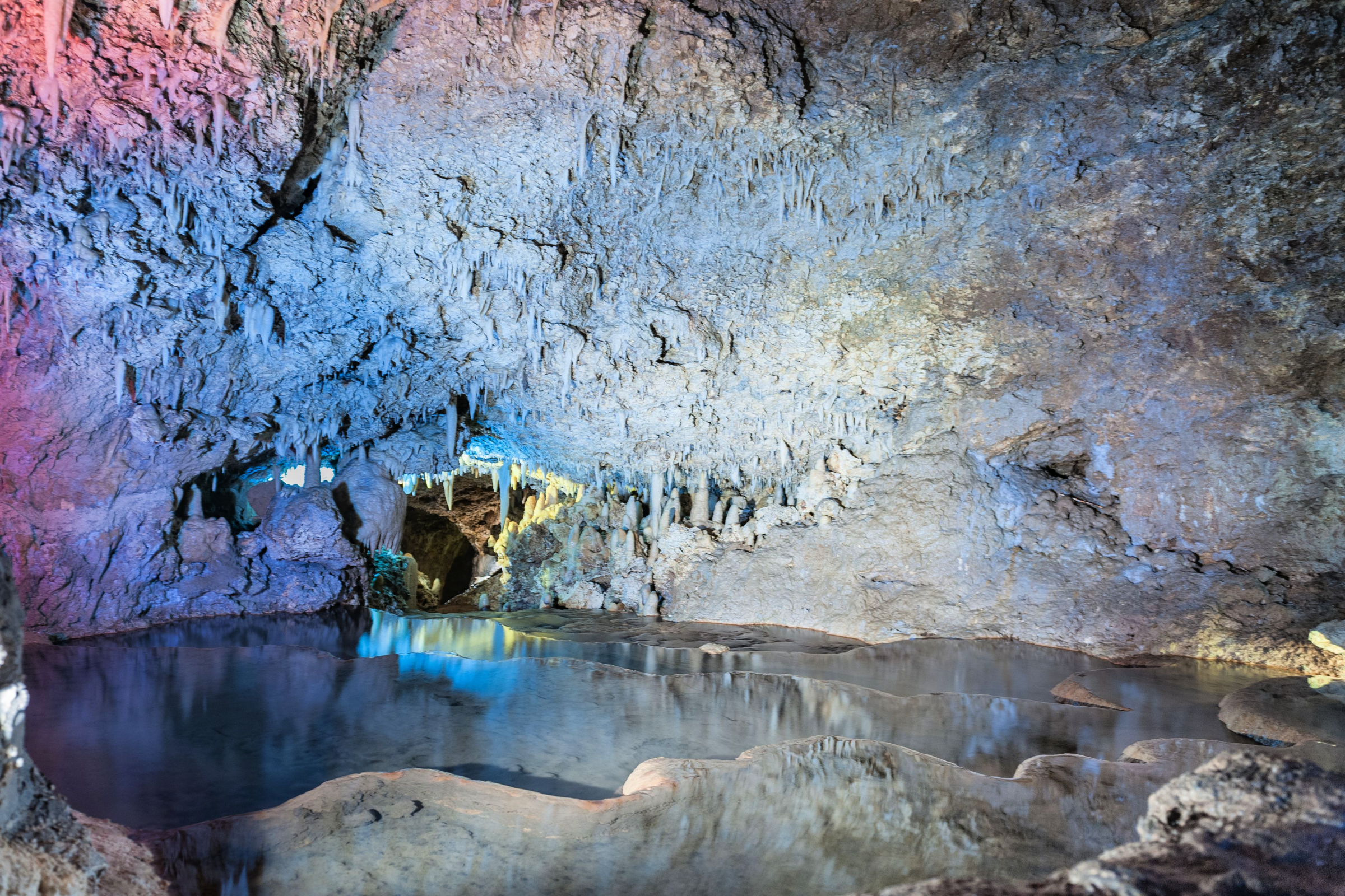 Harrisons Cave