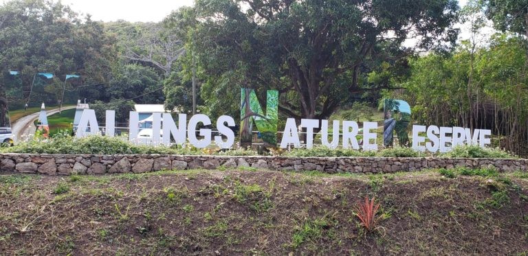 The Caribbean National Park 