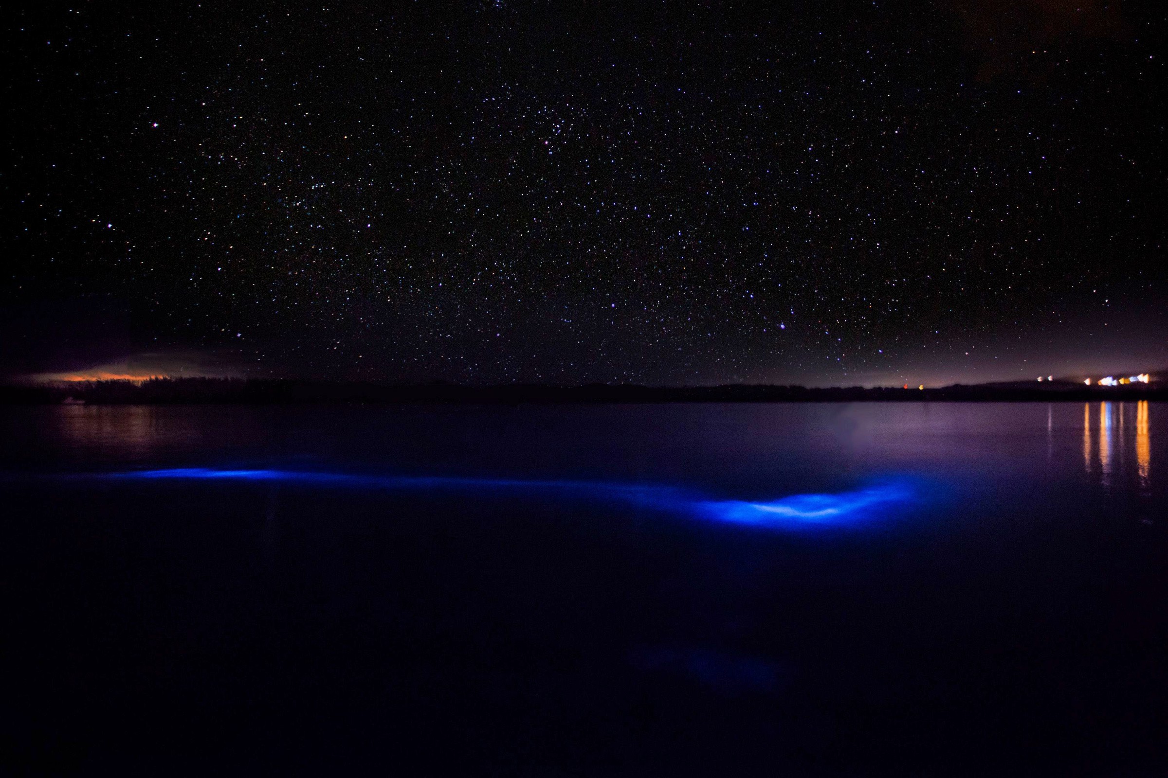 Luminous Lagoon – For a Super-rare Endeavour 