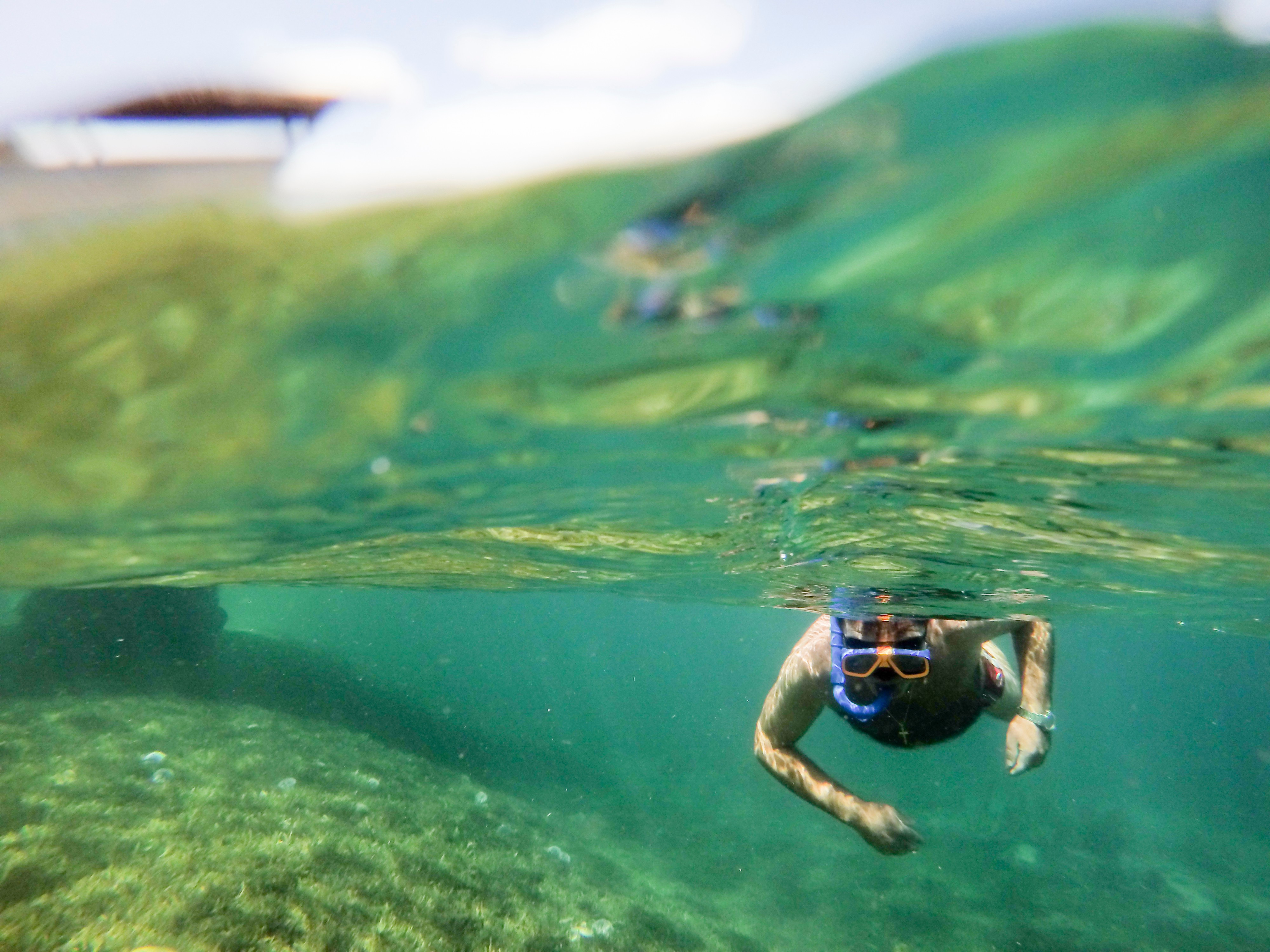 Snorkeling
