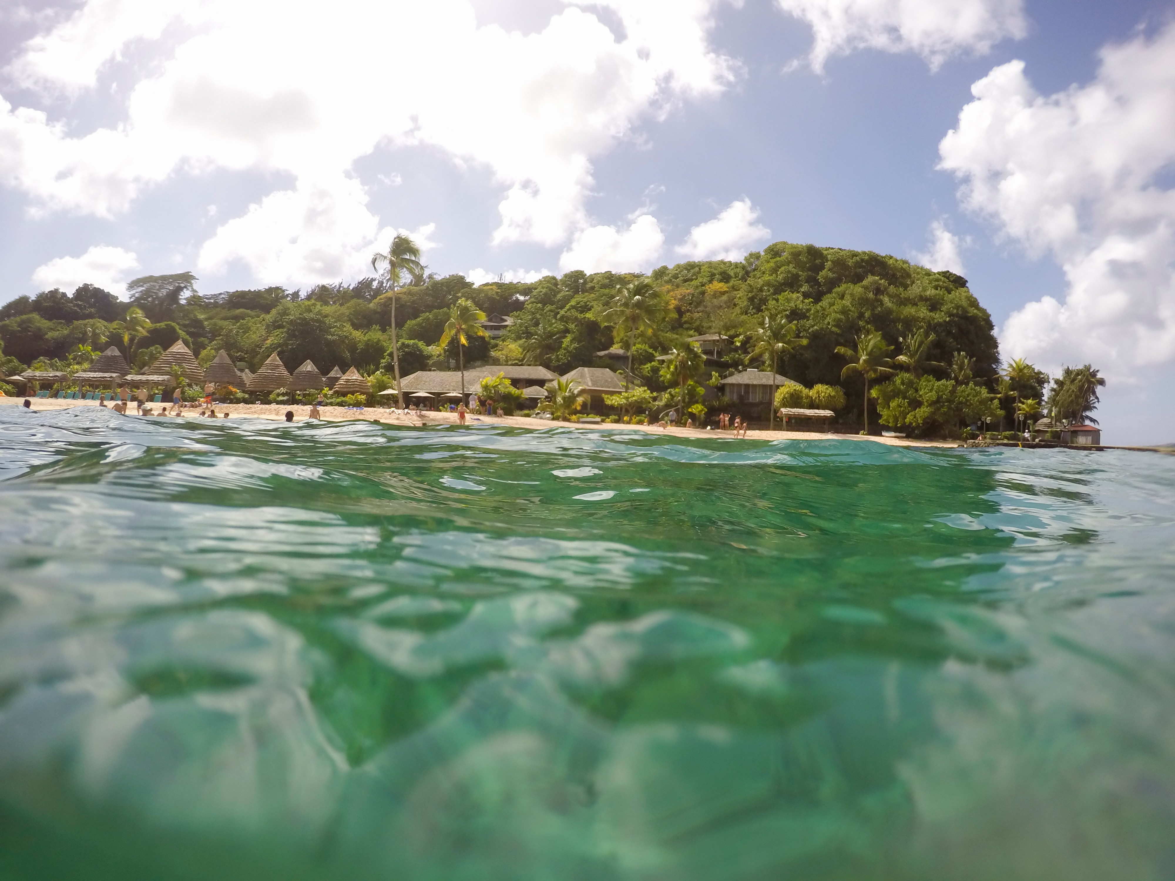 Young Island