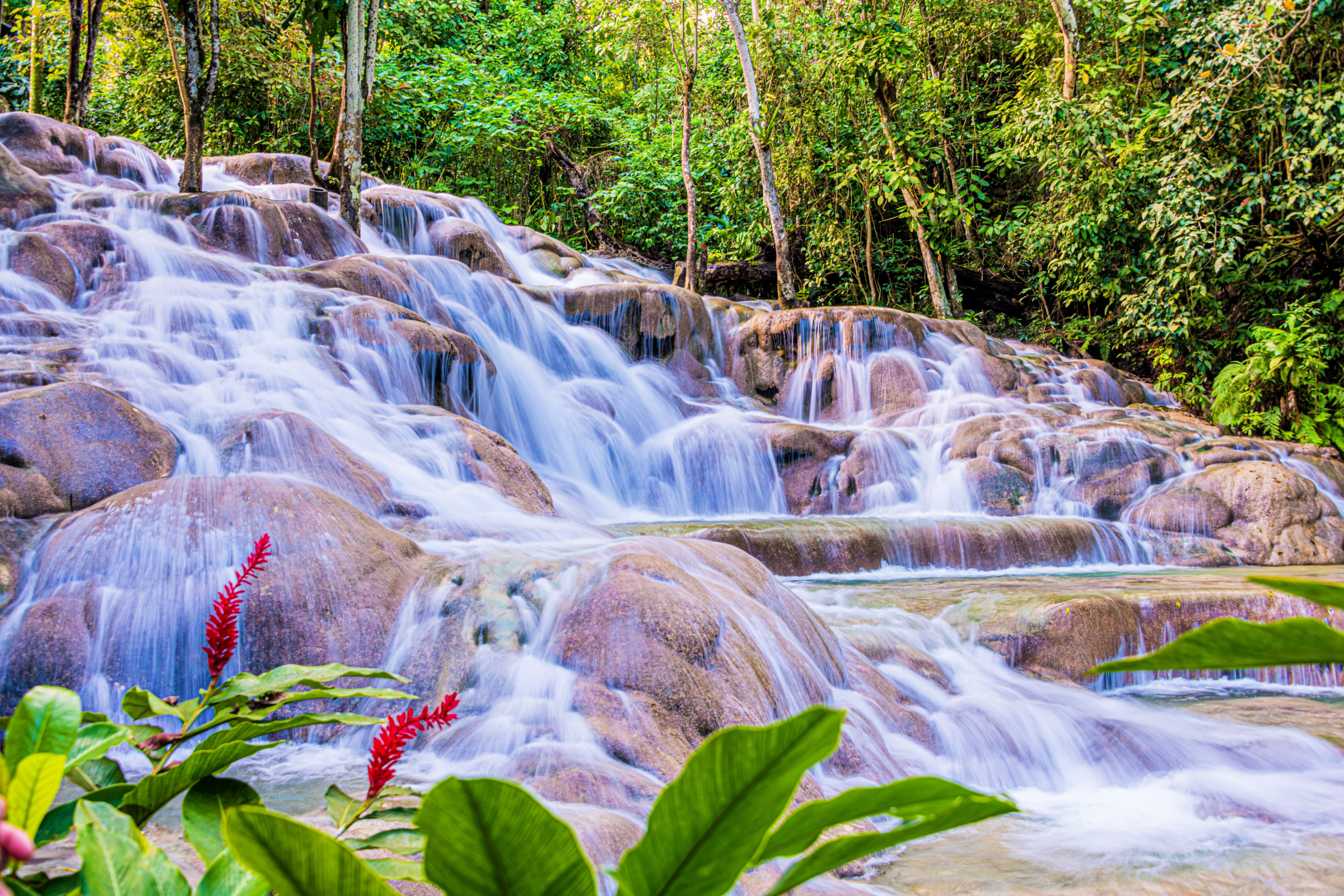 Dunn’s River Falls – Pleasing All Tastes 