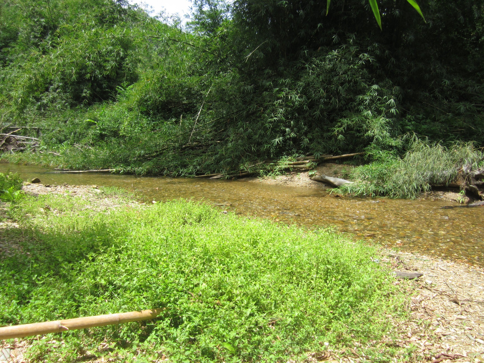 The 3 Pools