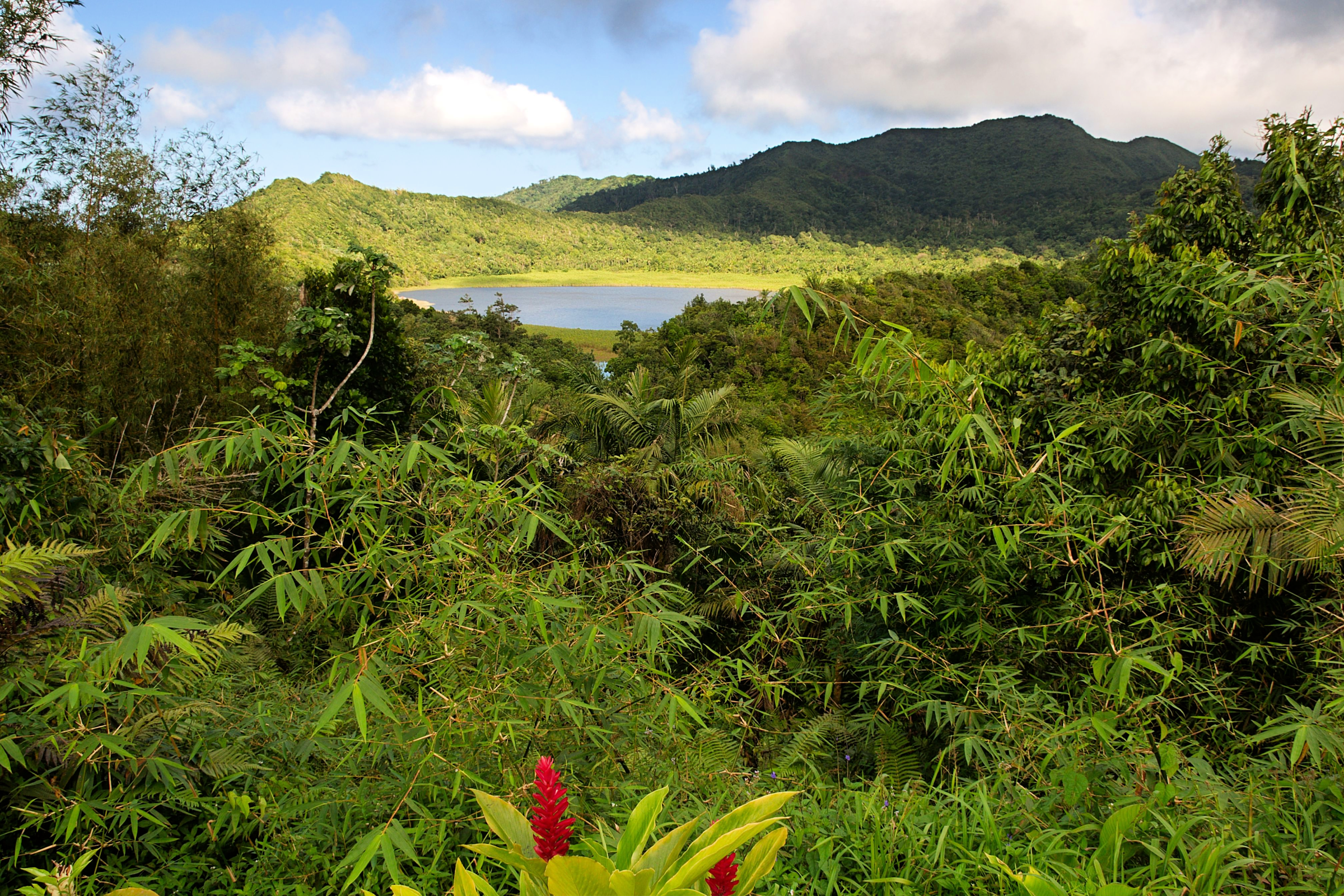 Exploring the Wilds of the Lost Grenada Tracks