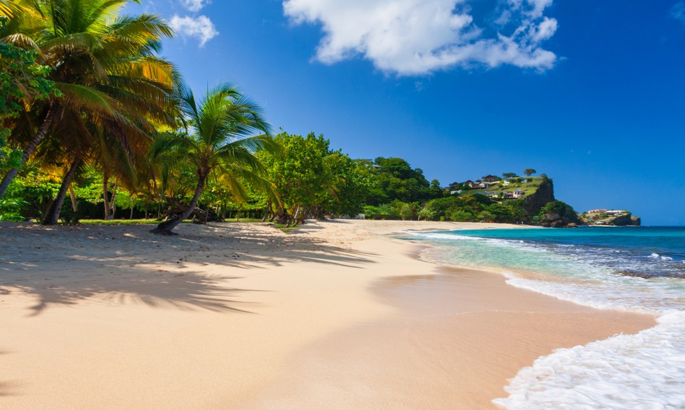 The Grand Anse Beach