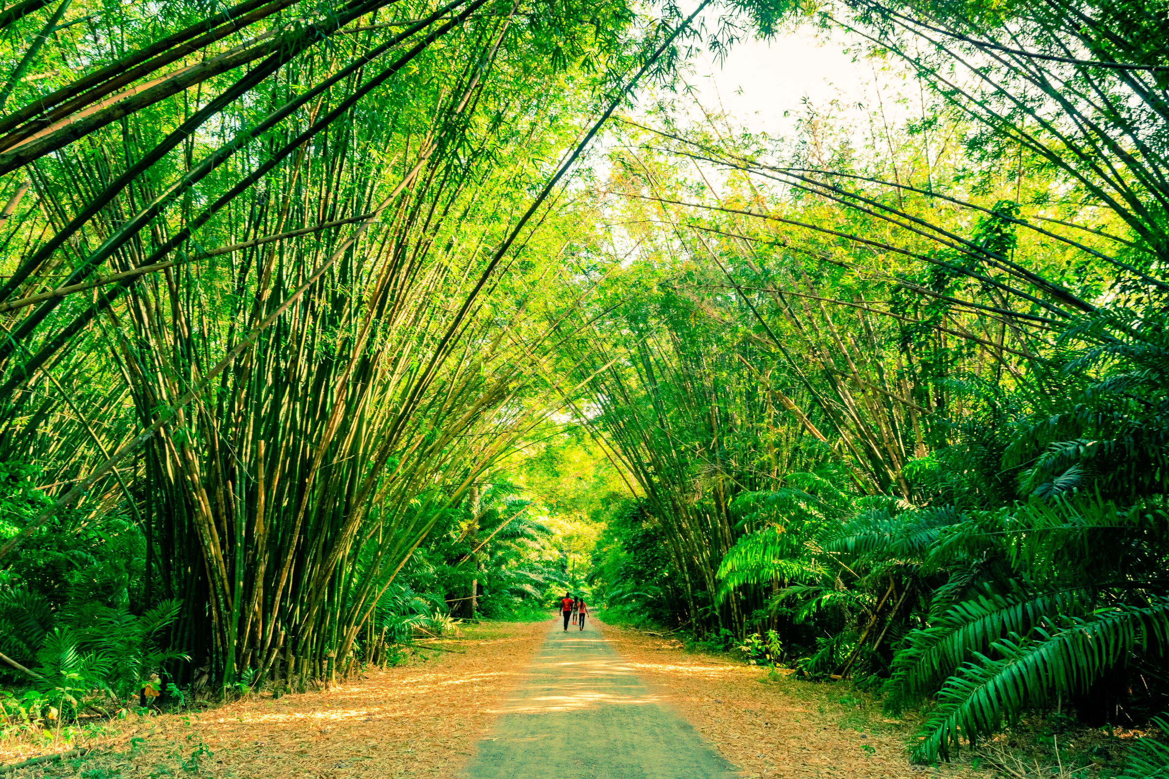 Trinidad and Tobago