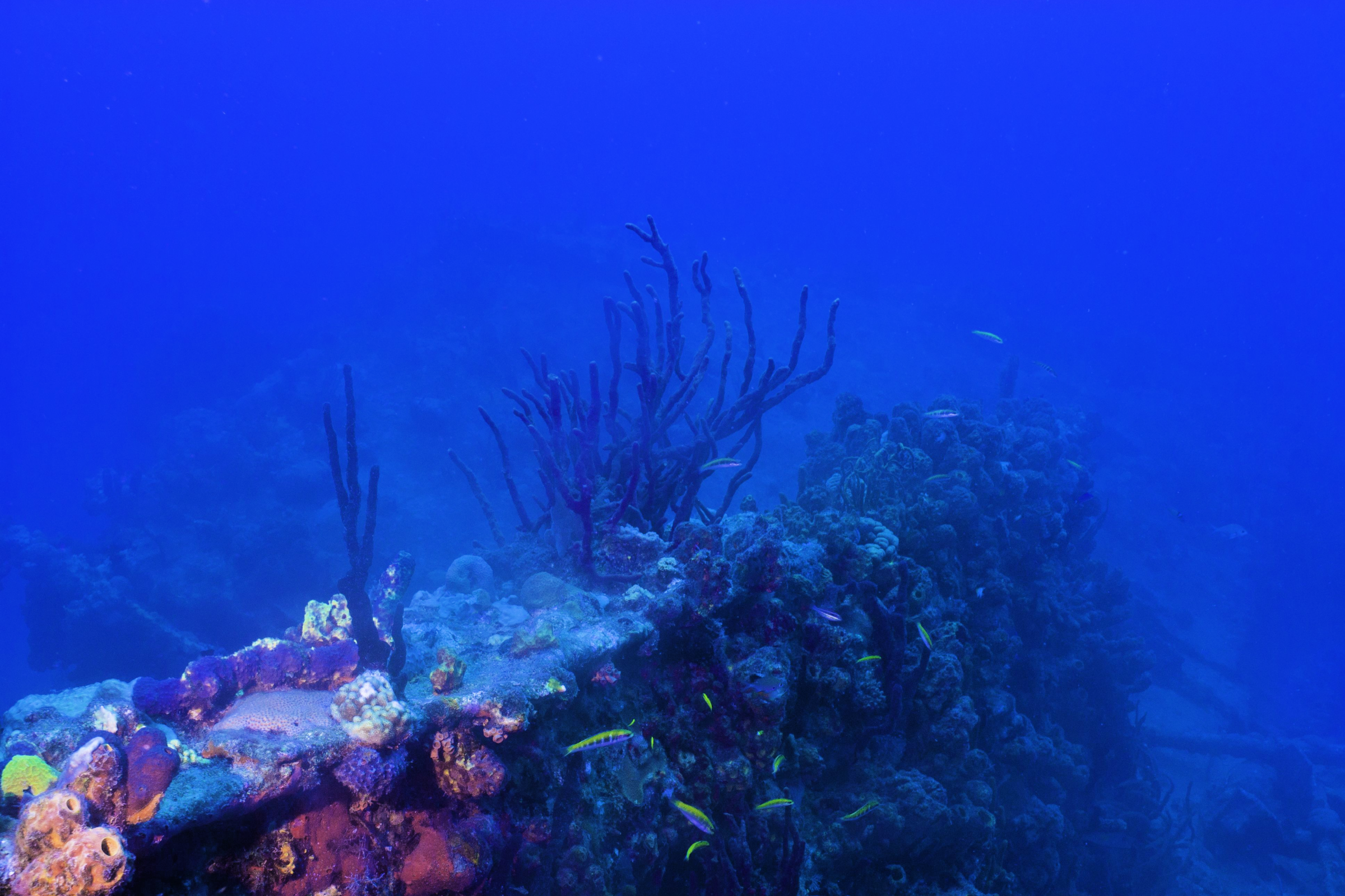 Anegada Island – A Vacationer’s Paradise