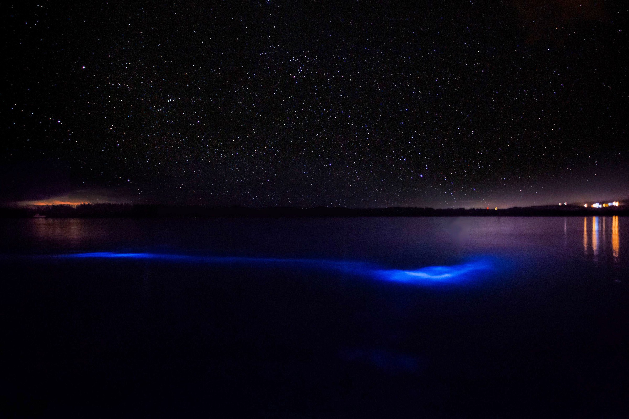 Luminous Lagoon