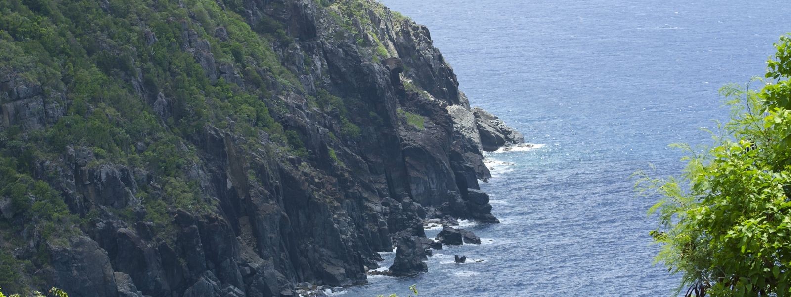 Cliffs and sea