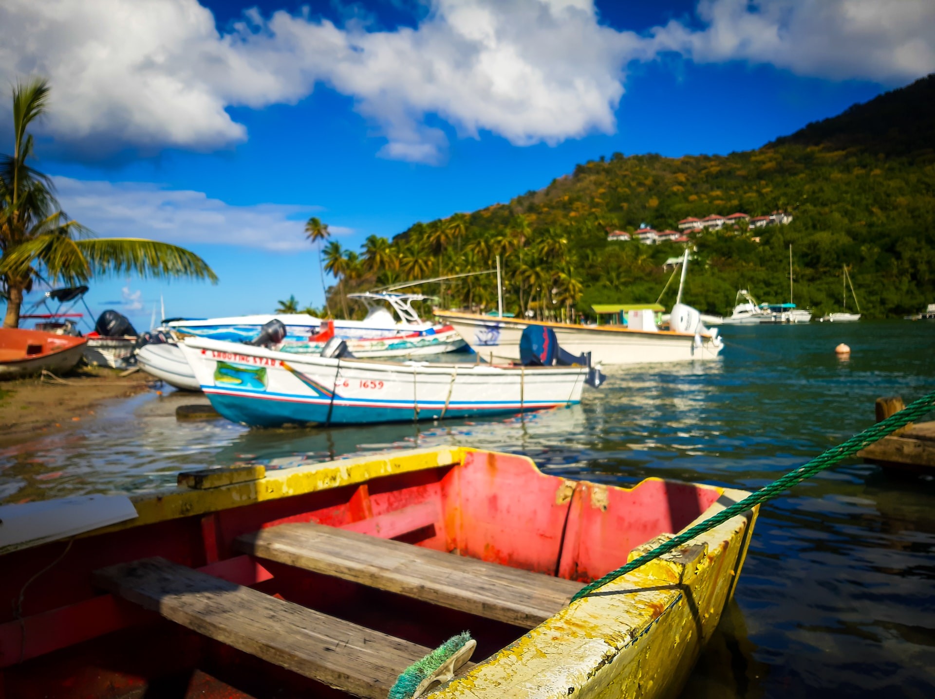 Go Deep-Sea Fishing 