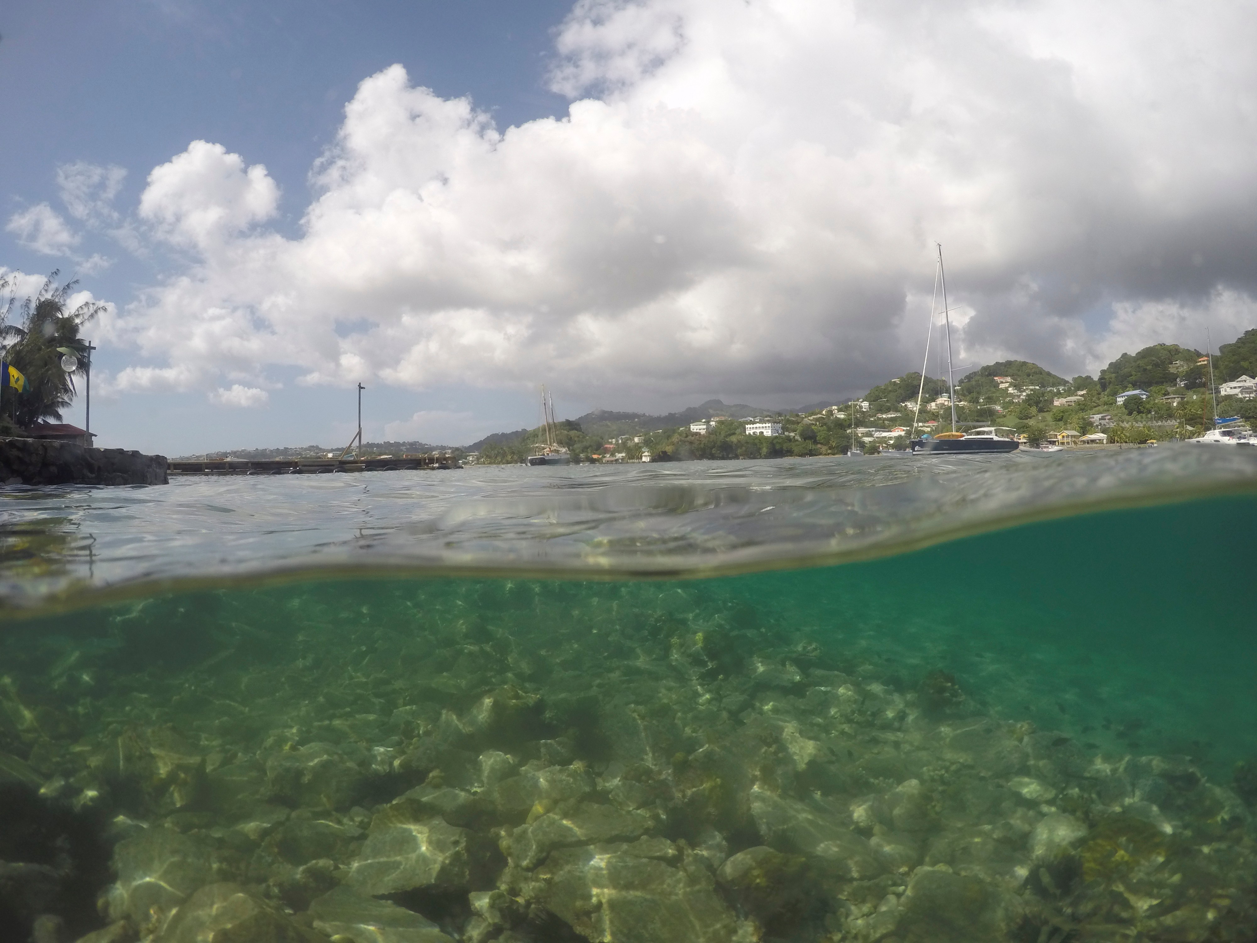 Young island from sea