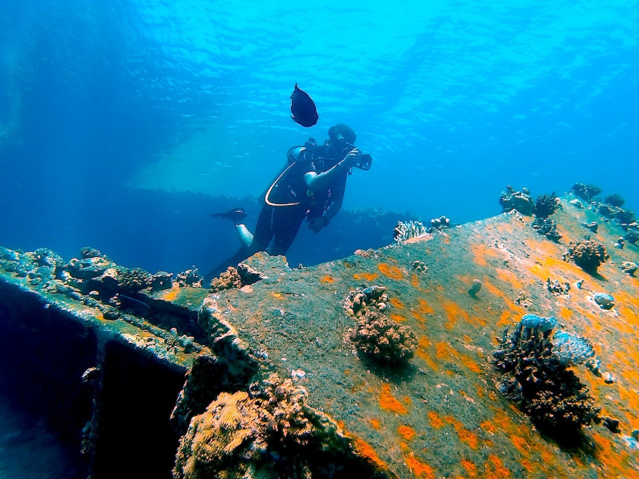 Rhone Marine Park – A Place Like No Other
