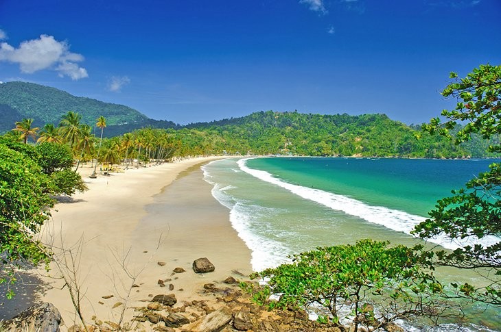 maracas bay